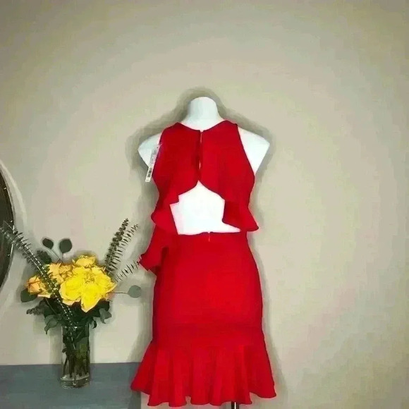 ❤️Michelle A Walk in the Park Ruffle Dress - Picture 5 of 6